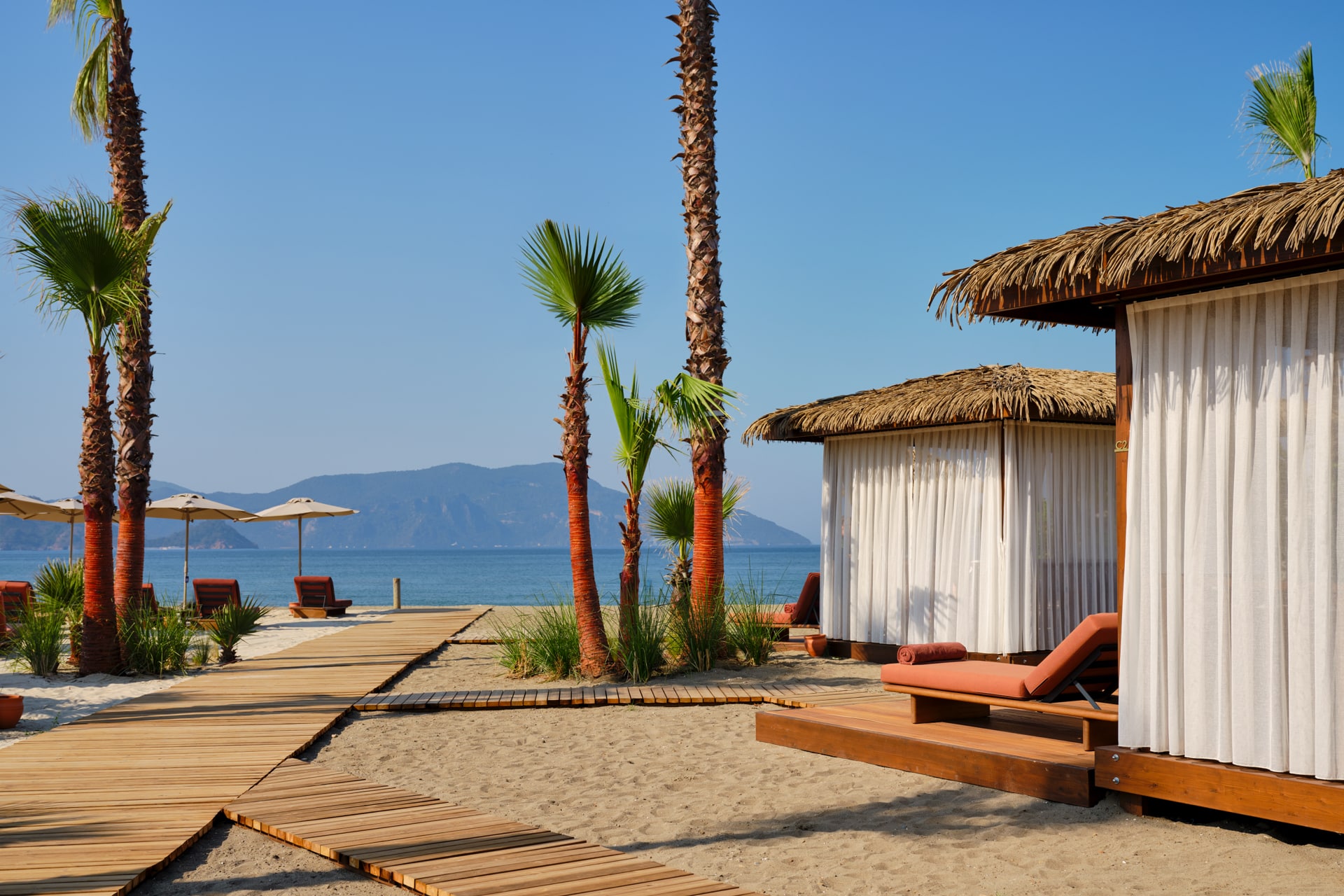 Clarity on the Horizon: Blue