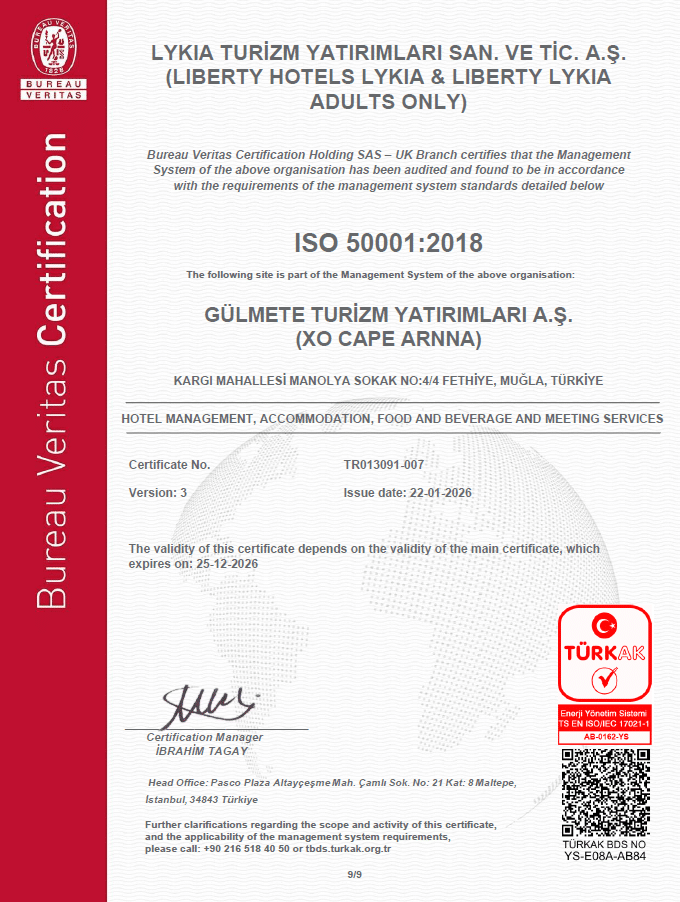 ISO 50001